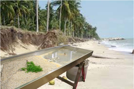 EM2 Geomodel to simulate the Shoreline Protection Measures